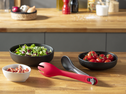 Žnyplės Tefal Ingenio