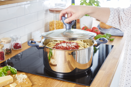 Puodas su dangčiu Tefal Daily Cook 24 cm